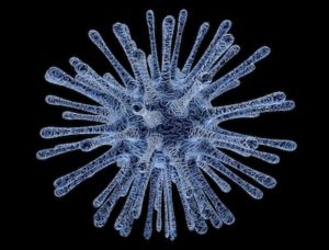 Virus als Ursache für pap 3d